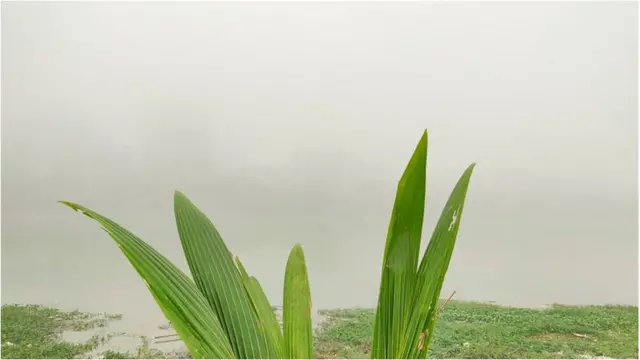 কুয়াশার ভেতর ঢাকা পড়েছে ঢাকা শহর