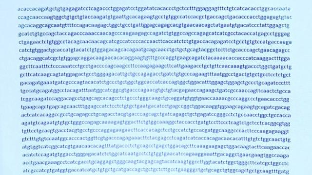 Parte del código genético del nuevo coronavirus