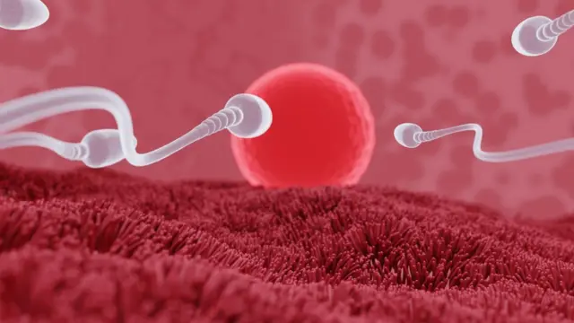 செயற்கை கருத்தரிப்பு