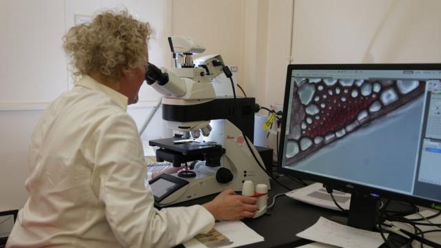 В научной лаборатории Йодрелла в Кью Гарденс сотрудники работают над извлечением ДНК растений. Лондон, 9 мая 2016 года.