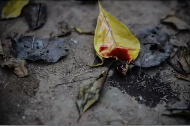 ముఖంపై పీరియడ్ బ్లడ్