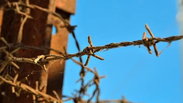 أسلاك شائكة