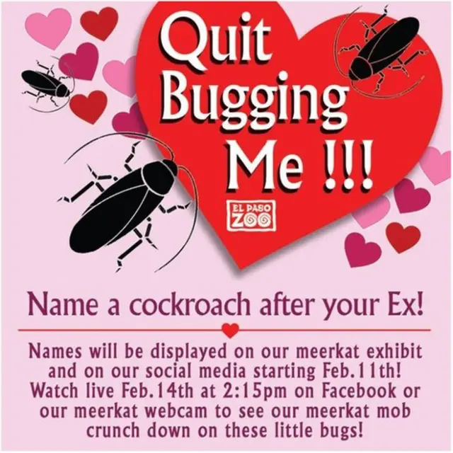 плакат зоопарку