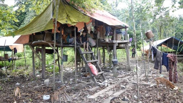 Punan Batu, Kalimantan, lingkungan, adat