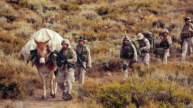 افغانستان کې امریکايي سرتېري