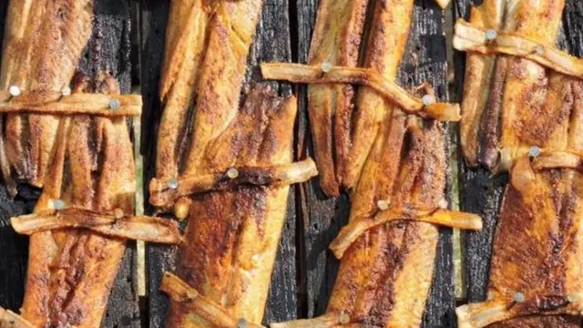 शैड मछली