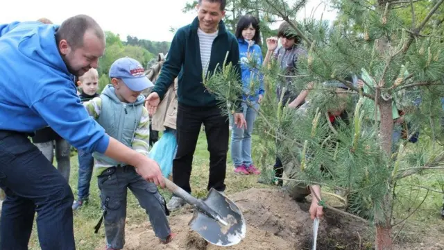 Саджання дерев
