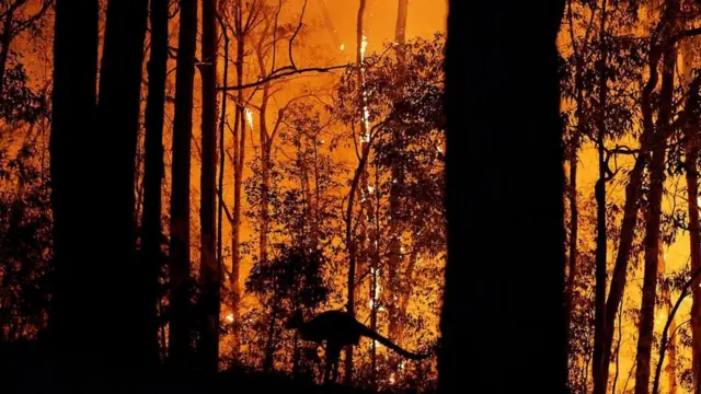 لجأ الناس للفلسفة بحثا عن نصائح تساعدهم على مواجهة التحديات في هذه الفترة التي تشهد تحولات غير مسبوقة من الاضطرابات السياسية إلى الكوارث المناخية