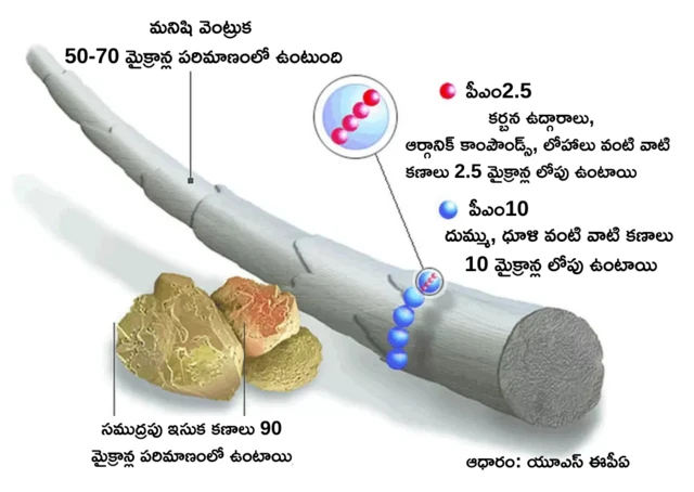 మనిషి వెంట్రుక పరిమాణం