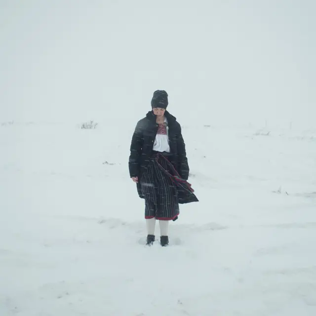 Финны в Петербурге