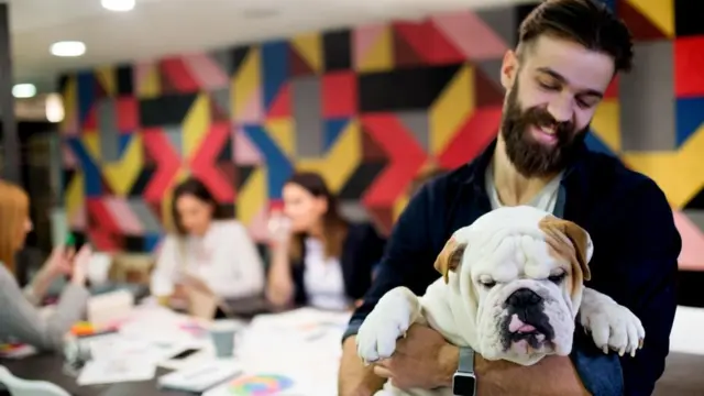 Joven con perro en una oficina.