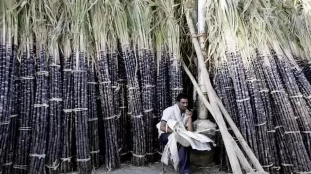 கரும்பு