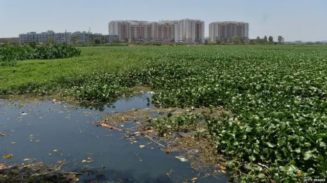 ਪਾਣੀ ਸੰਕਟ