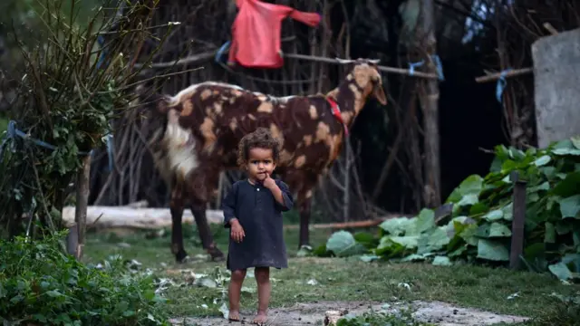 બક્કરવાલ સમાજની પ્રતીકાત્મક તસવીર