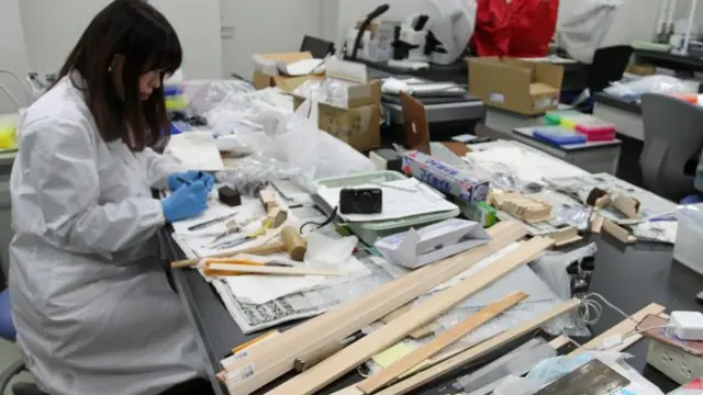 Investigadora japonesa