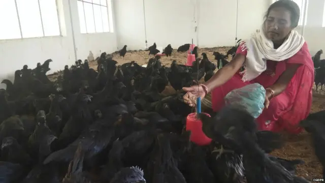 छत्तीसगढ़, मध्यप्रदेश