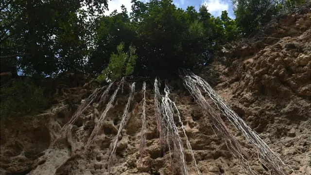 اسلام آباد آثار قدیمہ