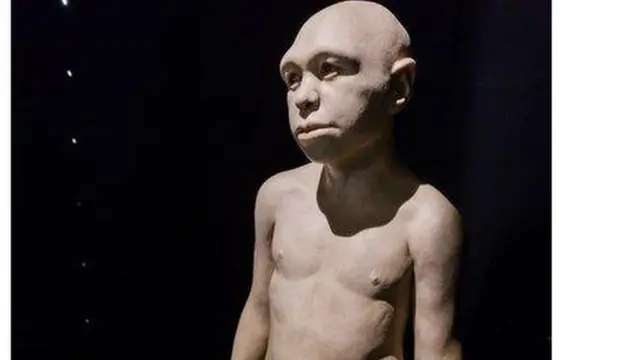 Spishi hawa mara kwa mara huelezewa kama waliokuwa na mchanganyiko wa maumbile ya kisasa na "ya kizamani "