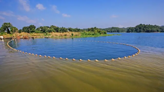 রাঙ্গামাটির কাপ্তাই লেক, অনেকের কাছেই পছন্দের জায়গা।