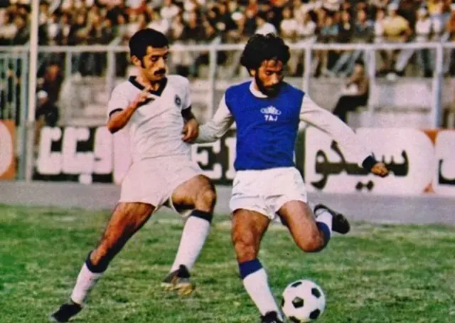 ایرج دانایی فرد