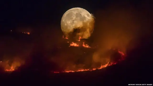 दुनिया, फुटबॉल विश्व कप, रूस, नेपाल, गे परेड, जंगल की आग