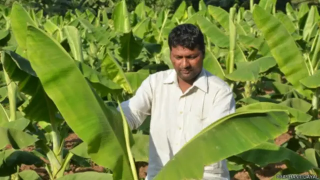 खेत मे किसान