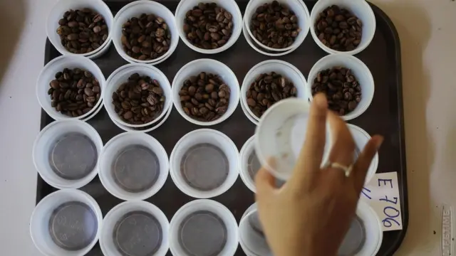 Las competencias permiten a los pequeños agricultores ofrecer granos valiosos, difíciles de producir.