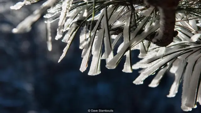 Huangshan National Park