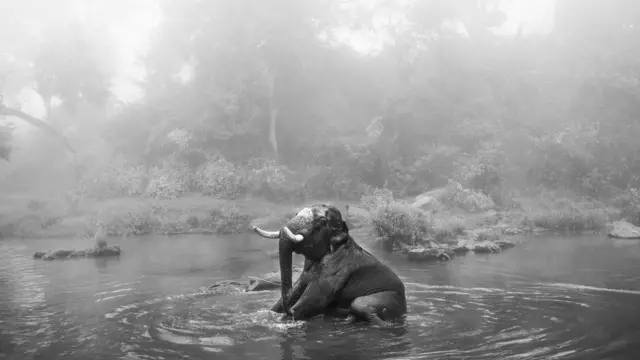 world photography day