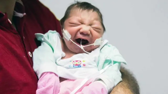 జికా ప్రేమ కథలు