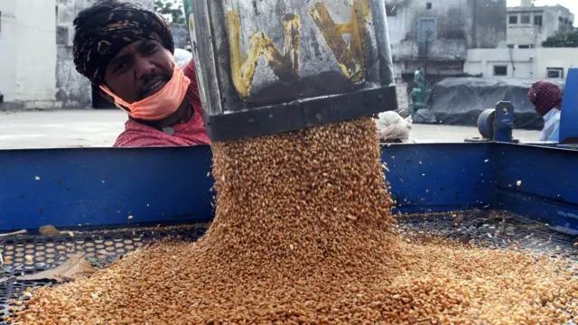 કૃષિ કામગીરીની તસવીર