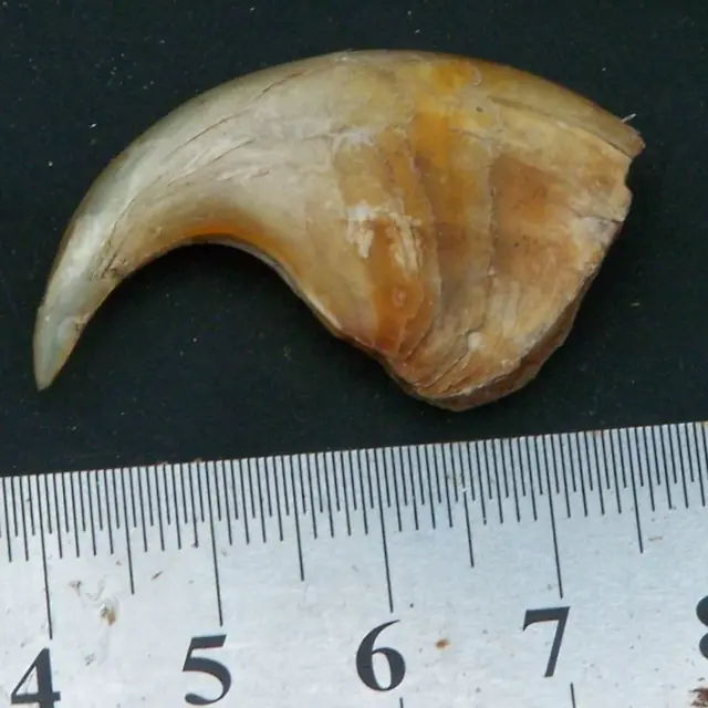 Yuqori sifatli etuk ayollar porno onlayn