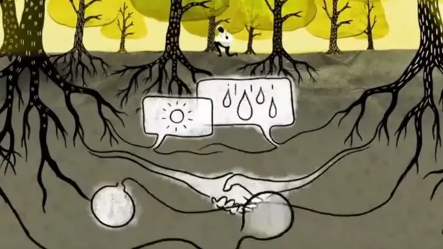 ਪੌਦਿਆਂ ਅਤੇ ਸੂਖਮ ਜੀਵਾਂ ਦਾ ਰਿਸ਼ਤਾ (ਮਾਈਕੋਰਿਜ਼ੇ) ਖੇਤੀਬਾੜੀ ਲਈ ਇੰਨਾ ਅਹਿਮ ਹੈ। ਖੇਤੀਯੋਗ ਜ਼ਮੀਨ/ਮਿੱਟੀ ਦੀ ਗੁਣਵੱਤਾ ਸੁਧਾਰਨ ਲਈ ਮਾਈਕੋਰਿਜ਼ੇ ਇਸ ਰਿਸ਼ਤੇ ਦੀ ਵਰਤੋਂ ਕੀਤੀ ਜਾਂਦੀ ਹੈ।