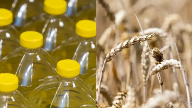 Олія та пшениця