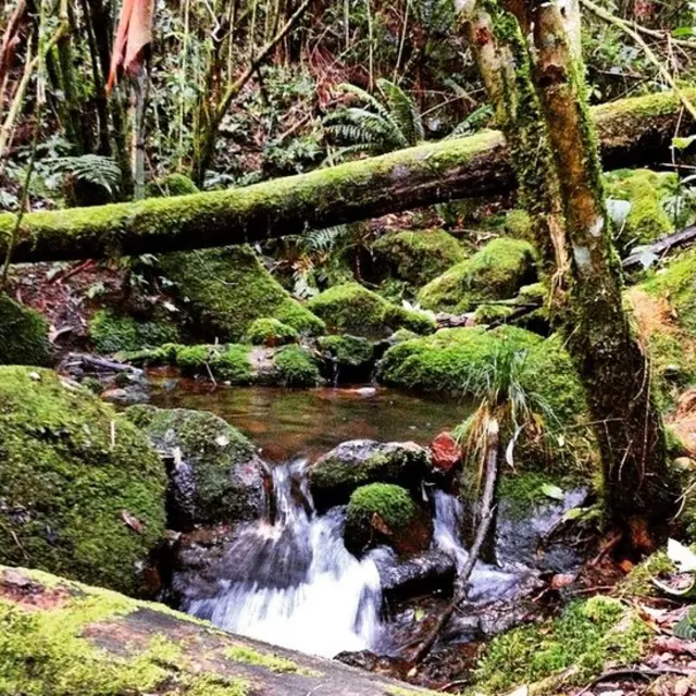 Quebrada de la Vieja