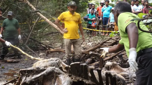 ගල්ගමුවේ දළ පූට්ටුවා