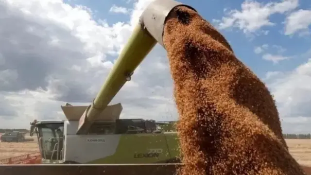 अन्नधान्य, जीएसटी