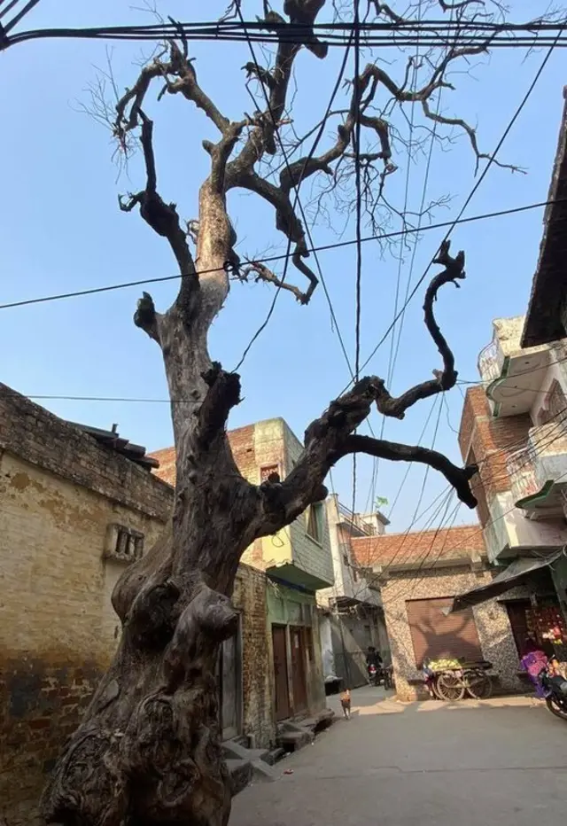 உத்தர பிரதேசத்தில் லவ் ஜிகாத் என்ற கூக்குரலில் குரலை இழந்த ஒரு இளம் ஜோடியின் கதை