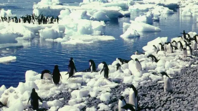 अंटार्कटिक