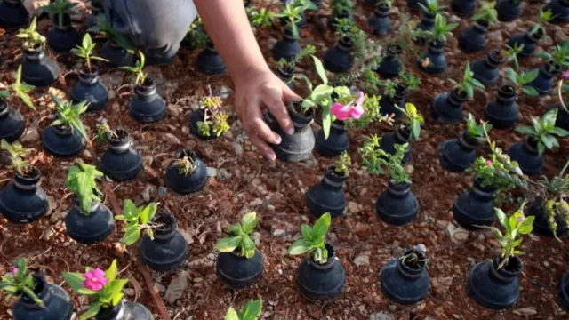 ઇઝરાયલના એક ખેતરની પ્રતિકાત્મક તસવીર