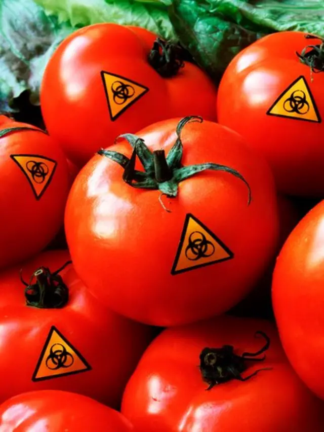 Erkaklar suniy vaginalarni sikishadi