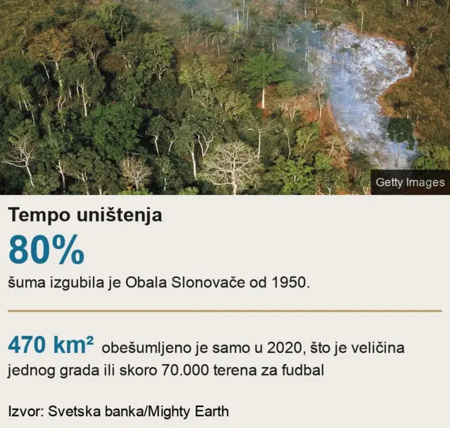 tempo obešumljavanja Obale Slonovače