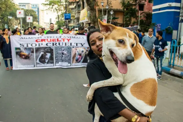 તુર્કી અને અન્ય દેશોમાં નવા કાયદા વિરુદ્ધ જોરદાર પ્રદર્શન થઈ રહ્યું છે