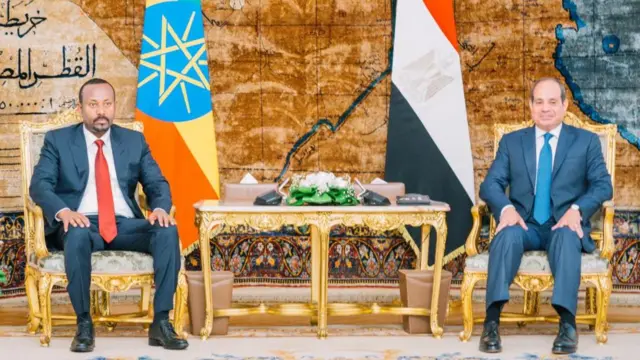ቀዳማይ ሚኒስተር ኣብ ኣሕመድን ፕረዚደንት ኣል ሲሲን
