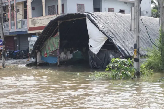 తెలంగాణ, ఉమ్మడి వరంగల్, వరదలు, మొంథా తుపాను