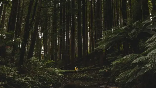 Berusaha mendengarkan lingkungan sekitar ketika berjalan-jalan adalah hal yang penting.