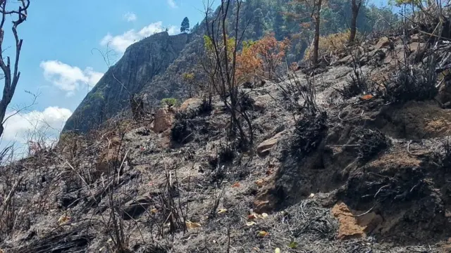 ඇතිවූ ගින්නෙන් ඇල්ල රොක් රක්ෂිතයට හානි සිදුව අතින් අයුරු 