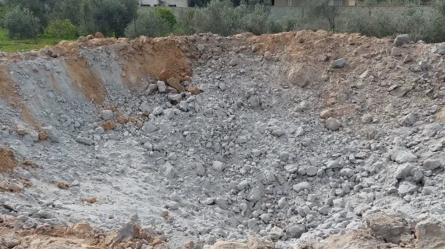 Gozal mushuk videoda gozal xoroz