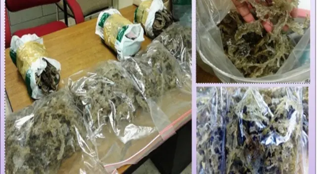 සුප් සඳහා ඉල්ලුමක් ඇති කැදලි තුරිතයාගේ (Indian Swiftlet / Indian Edible-nest Swift) කැදලි තොගයක් අත්අඩංගුවටගත අවස්ථාවක් මේ ඡායාරූපයේ දැක්වේ.