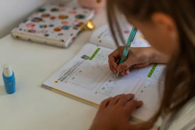 બીબીસી ગુજરાતી ફોરેન લેંગ્વેજ વિદેશી ભાષા ફ્રેન્ચ જર્મન સ્પેનિશ વિદ્યાપીઠ અમેરિકા કૅનેડા